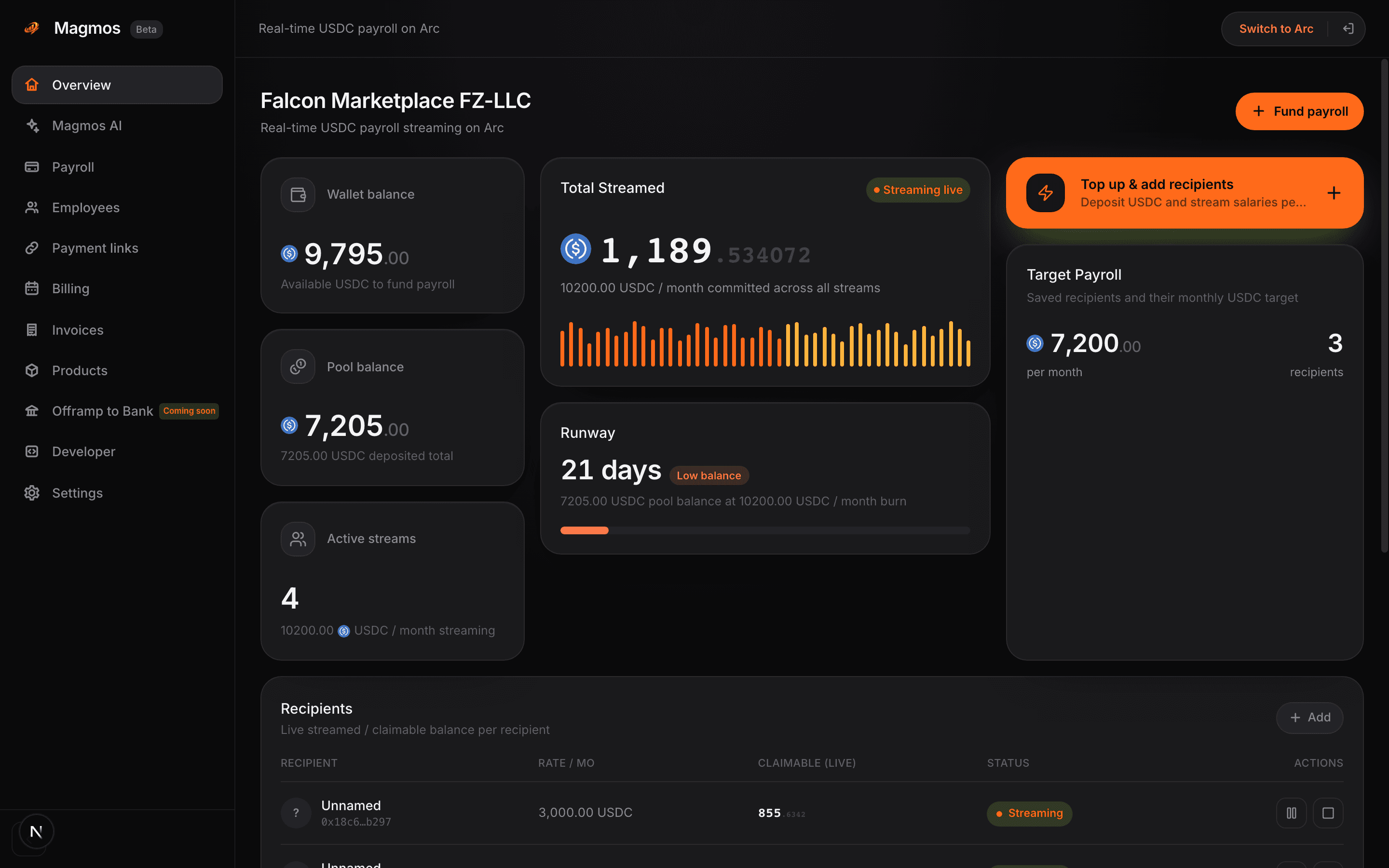 Magmos dashboard — live cross-border payroll streaming